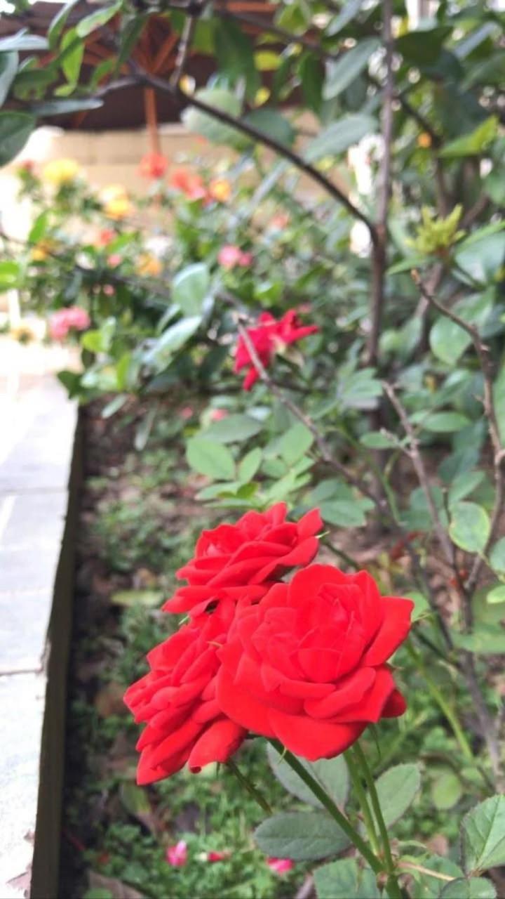 Villa Garza Inn Guayaquil Buitenkant foto